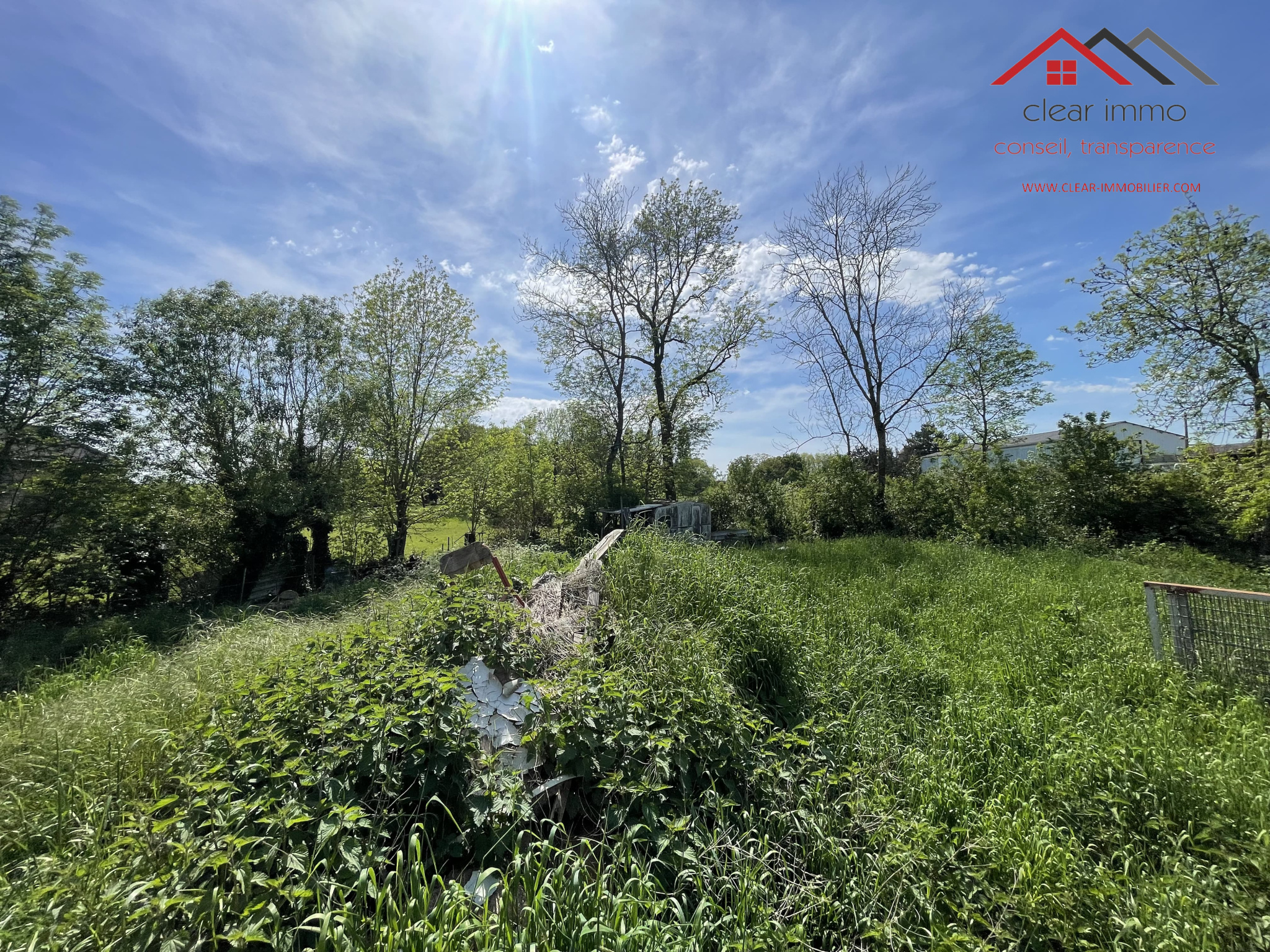 Agence immobilière de MICHAEL HORWATH