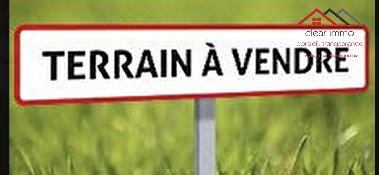 Agence immobilière de MICHAEL HORWATH