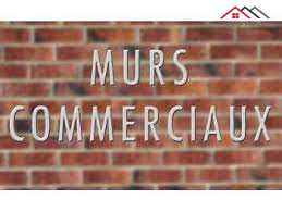 Agence immobilière de MICHAEL HORWATH