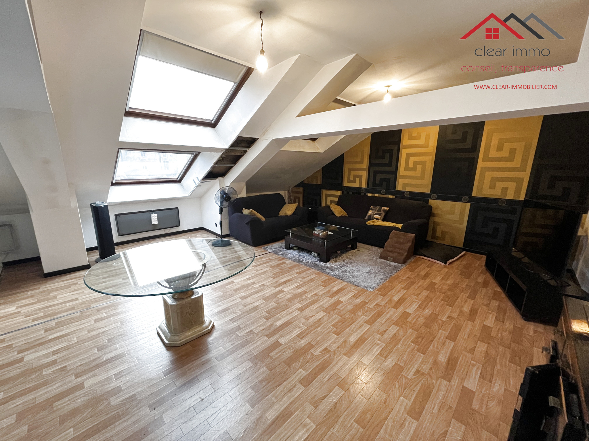 Agence immobilière de MICHAEL HORWATH